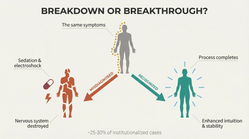 Fork diagram showing identical symptoms diverging into two paths: misdiagnosis leading to nervous system destruction versus recognition leading to enhanced intuition and stability.