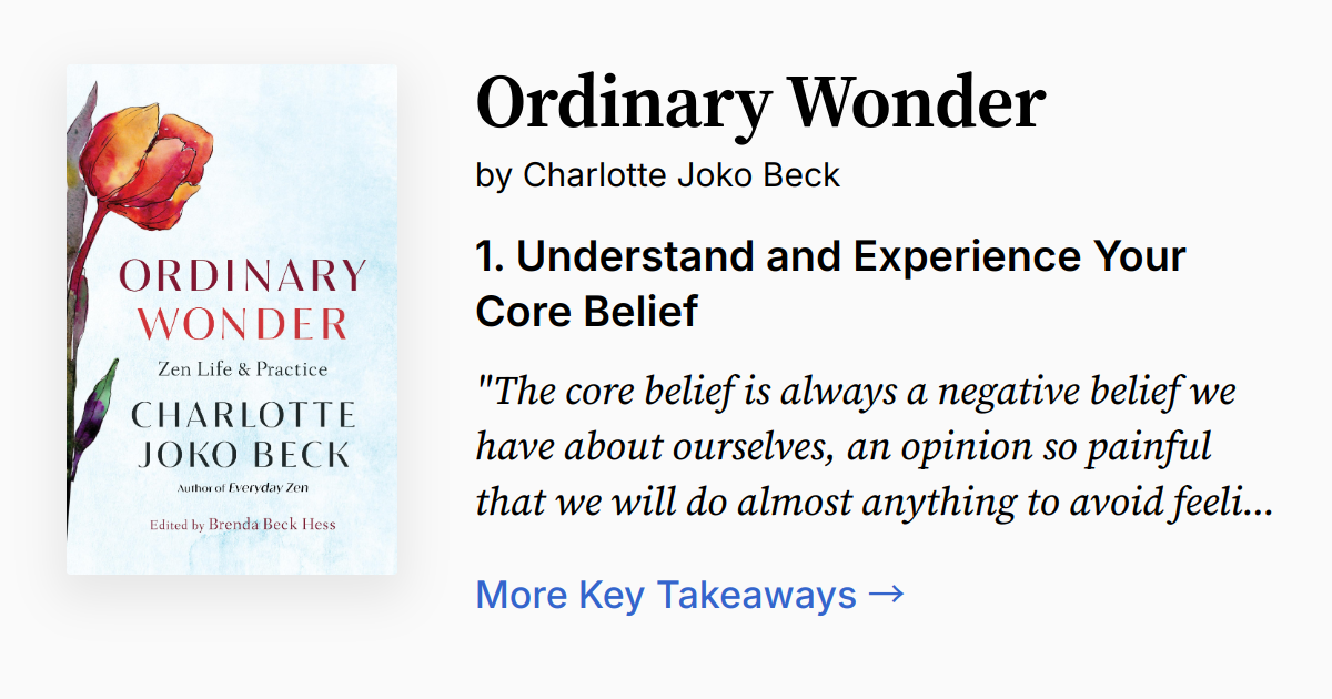 Ordinary Wonder Summary Quotes Faq Audio