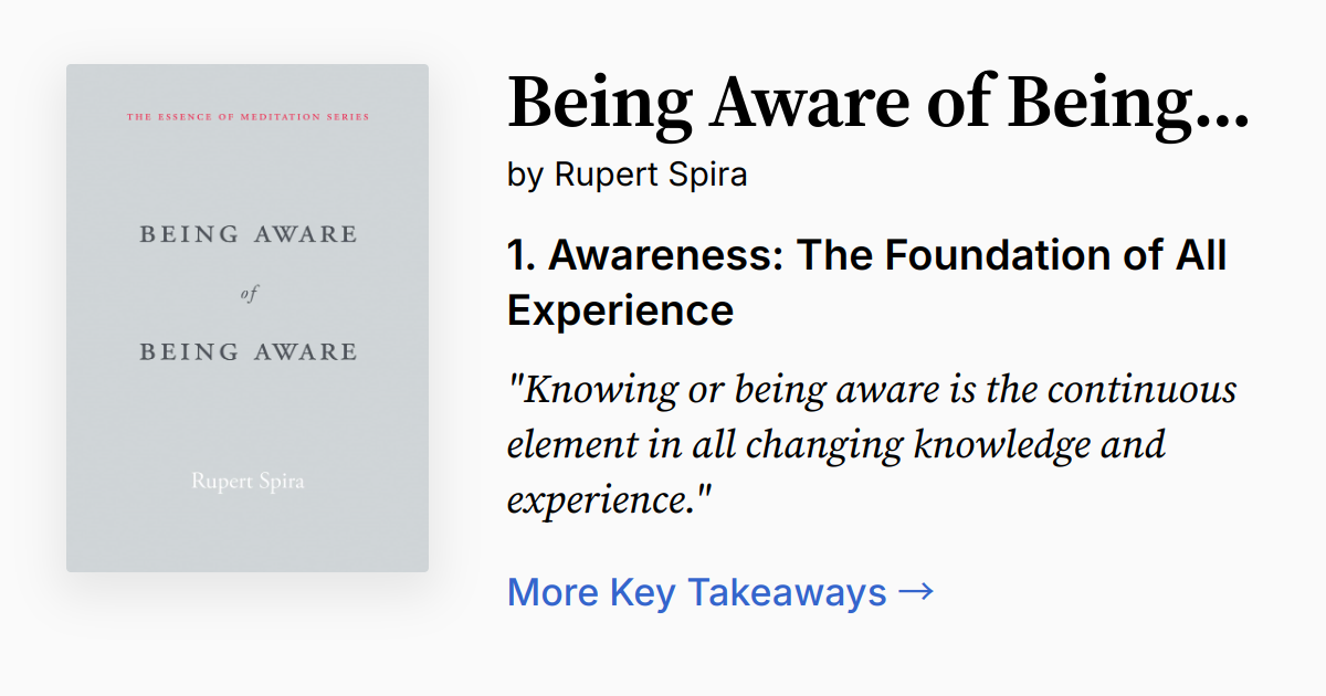 Cover of Being Aware of Being Aware