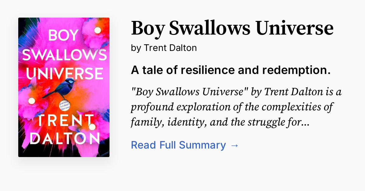Cover of Boy Swallows Universe
