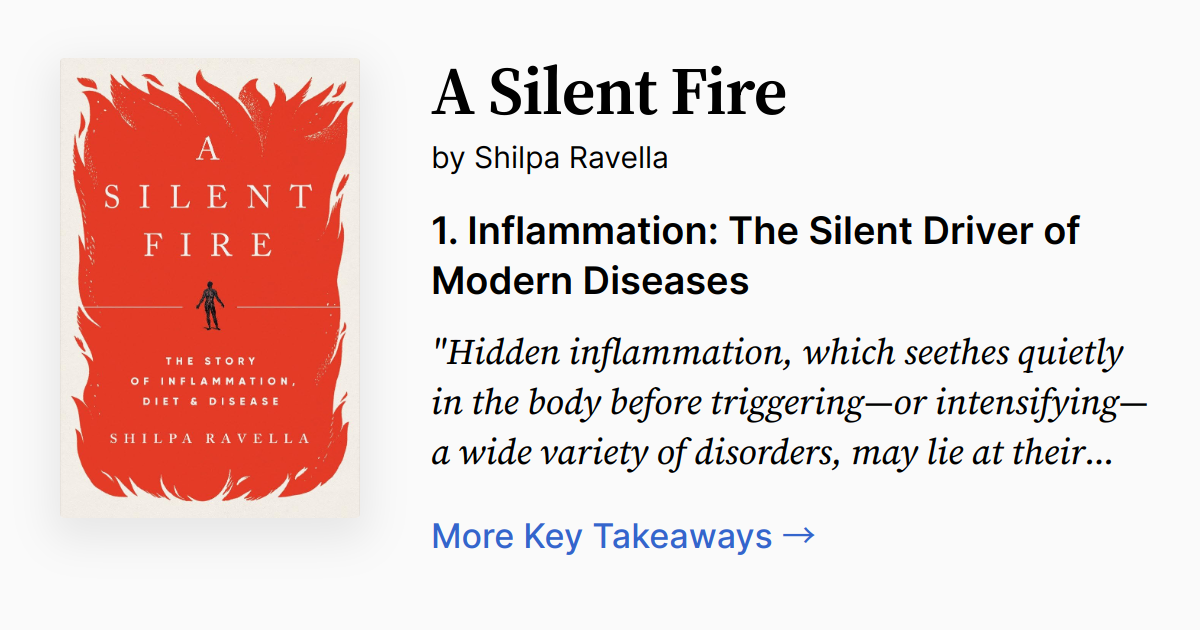 Cover of A Silent Fire