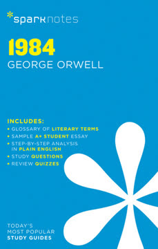 1984 Summary
