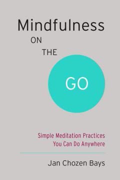Mindfulness on the Go Summary