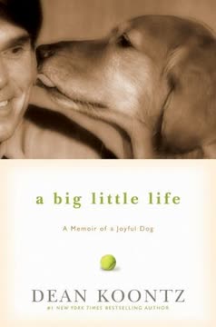 A Big Little Life Summary