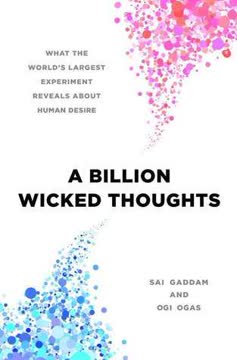 A Billion Wicked Thoughts Summary