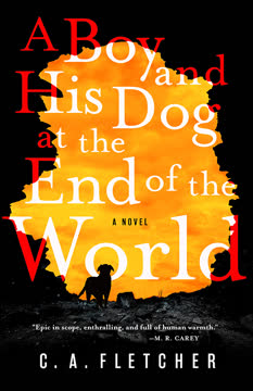 A Boy and His Dog at the End of the World Summary