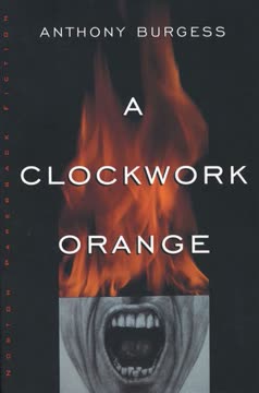 A Clockwork Orange Summary