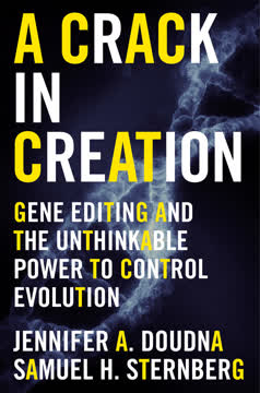 A Crack in Creation Summary