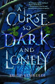 A Curse So Dark and Lonely Summary