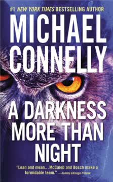 A Darkness More Than Night Summary