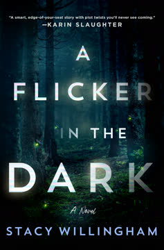 A Flicker in the Dark Summary