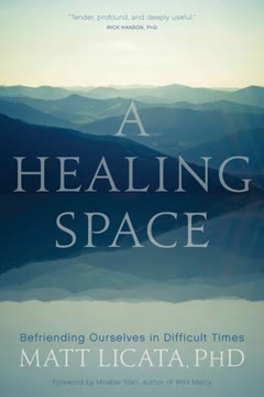 A Healing Space Summary