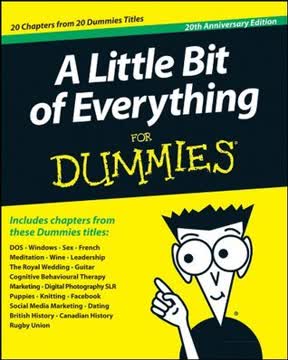 A Little Bit of Everything For Dummies Summary
