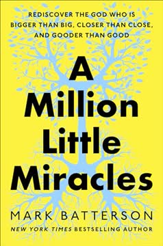 A Million Little Miracles Summary
