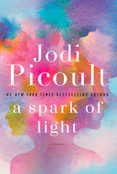 A Spark of Light Summary