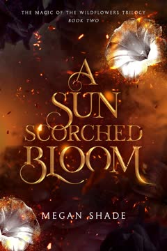A Sun Scorched Bloom Summary