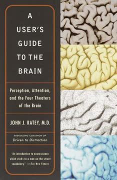 A User&#039;s Guide to the Brain Summary