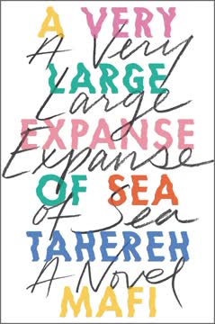 A Very Large Expanse of Sea Summary