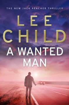 A Wanted Man Summary