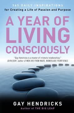 A Year of Living Consciously Summary