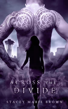 Across The Divide Summary