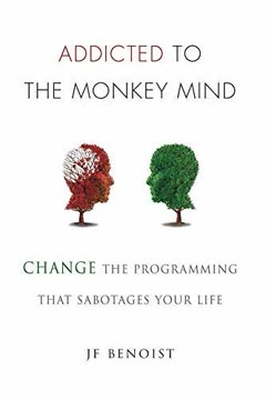 Addicted to the Monkey Mind Summary