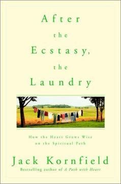 After the Ecstasy, the Laundry Summary
