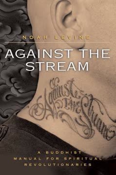 Against the Stream Summary
