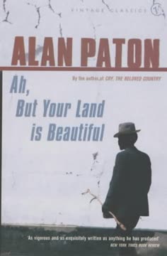 Ah, but Your Land Is Beautiful Summary