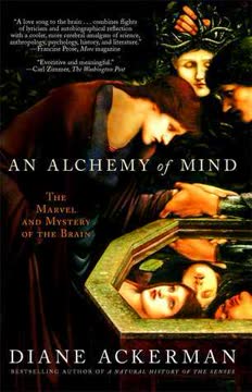 An Alchemy of Mind Summary