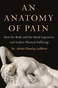 An Anatomy of Pain Summary