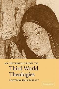 An Introduction to Third World Theologies Summary