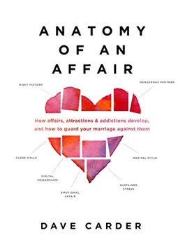 Anatomy of an Affair Summary