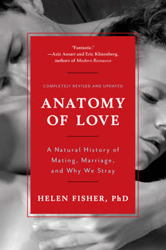 Anatomy of Love Summary