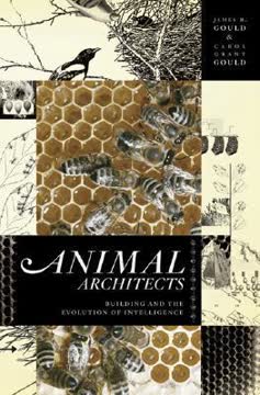 Animal Architects Summary