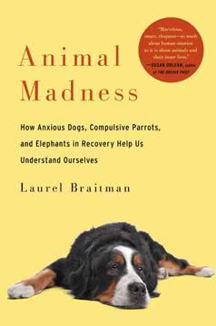 Animal Madness Summary