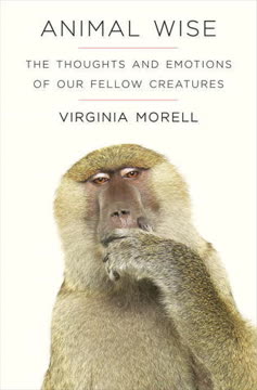 Animal Wise Summary