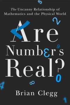 Are Numbers Real? Summary