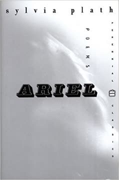 Ariel Summary
