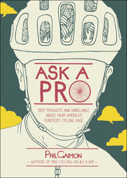 Ask a Pro Summary