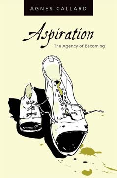 Aspiration Summary