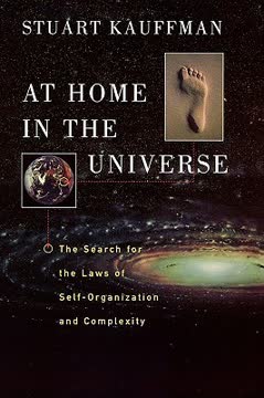 At Home in the Universe Summary