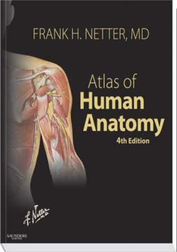 Atlas of Human Anatomy Summary