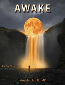 Awake Summary