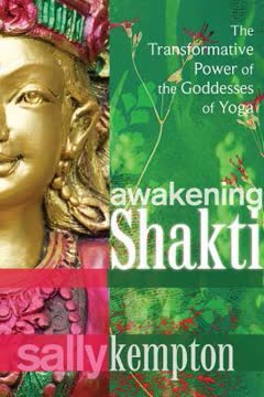 Awakening Shakti Summary