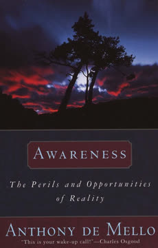 Awareness Summary