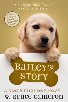 Bailey&#039;s Story Summary