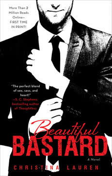 Beautiful Bastard Summary