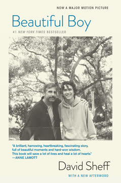 Beautiful Boy Summary