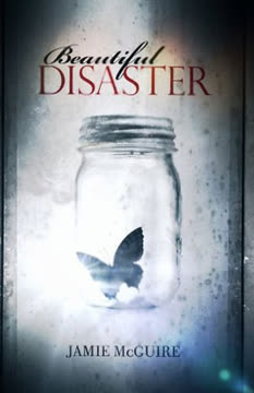 Beautiful Disaster Summary